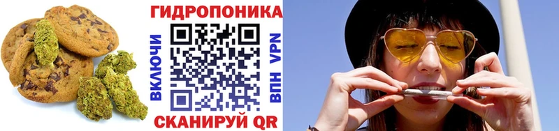 Cannafood конопля  дарнет шоп  Бронницы 