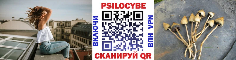 Псилоцибиновые грибы Magic Shrooms Бронницы